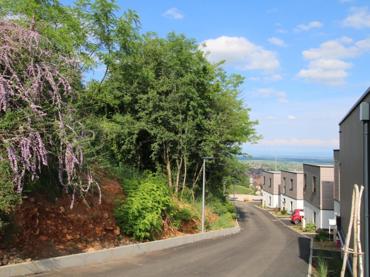 Vila Alsace Panorama Barr Exteriér fotografie