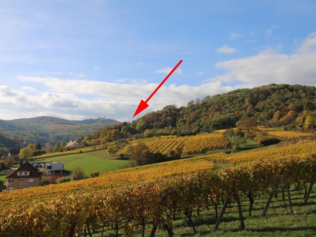 Vila Alsace Panorama Barr Exteriér fotografie