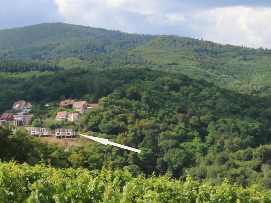 Vila Alsace Panorama Barr Exteriér fotografie