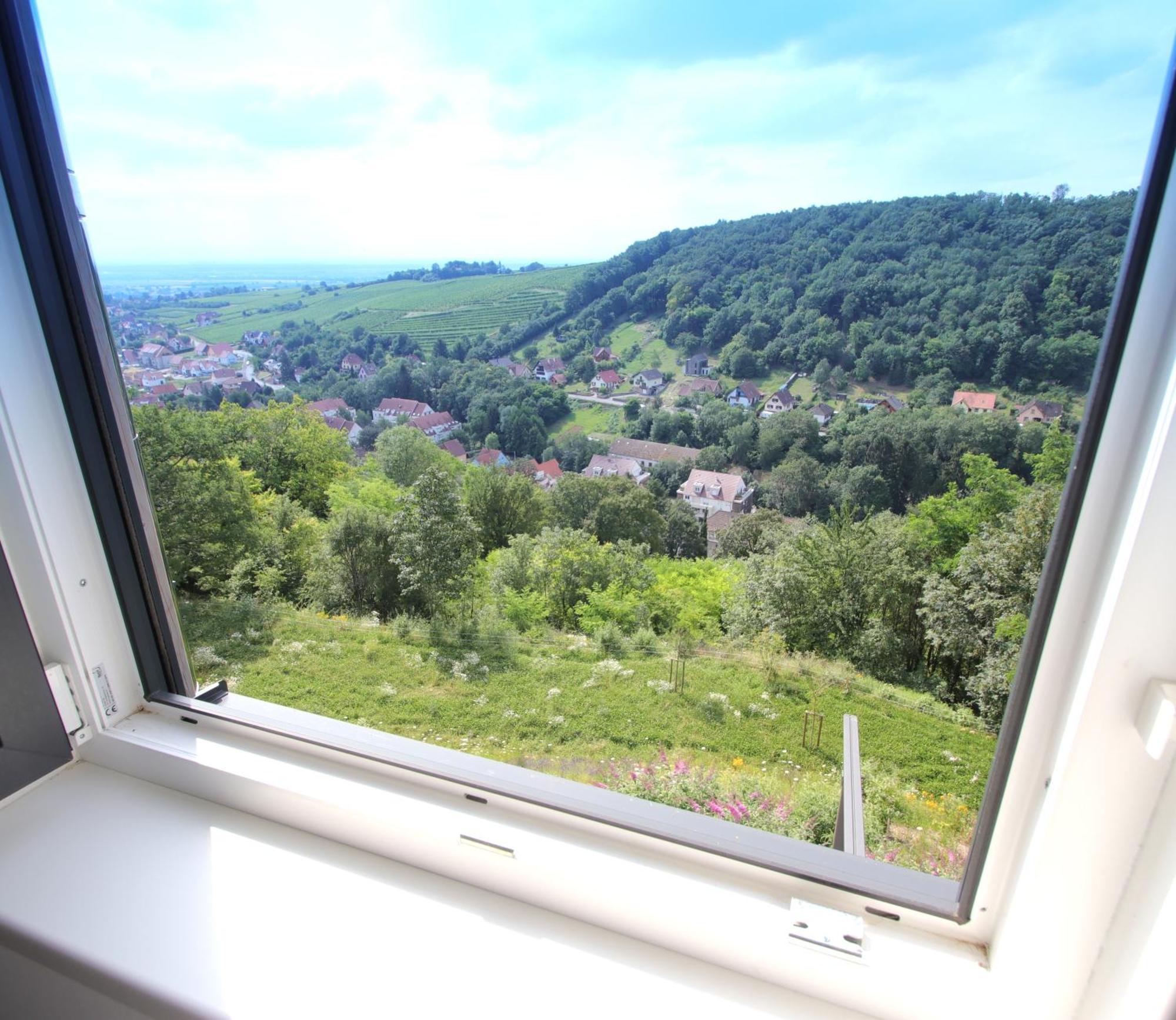 Vila Alsace Panorama Barr Exteriér fotografie